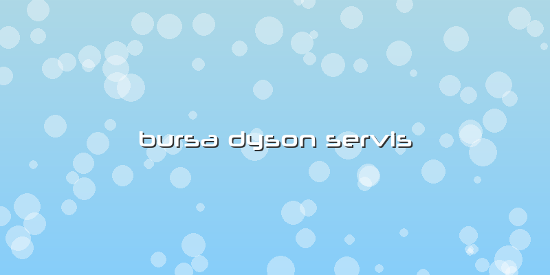 Bursa Dyson Servis