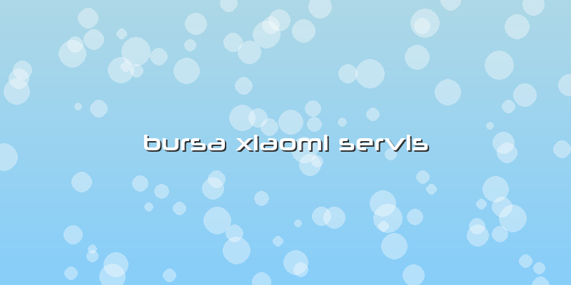Bursa Xiaomi Servis