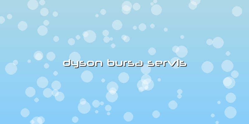 Dyson Bursa Servis