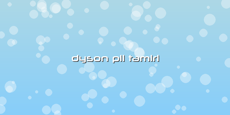 Dyson Pil Tamiri