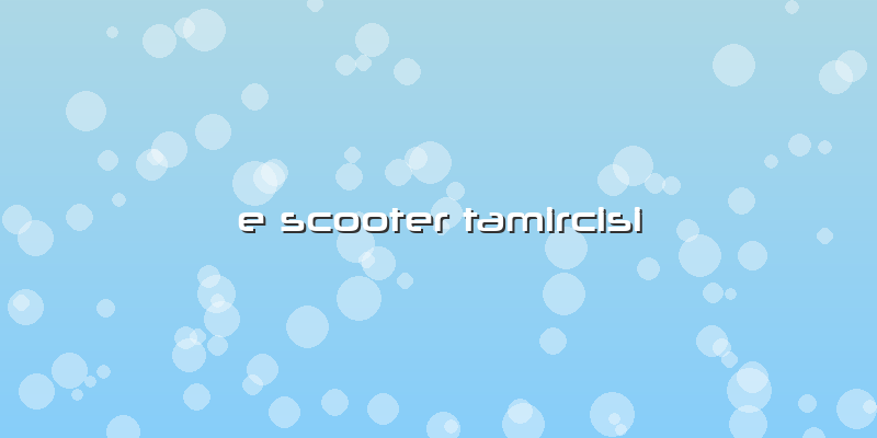 E Scooter Tamircisi