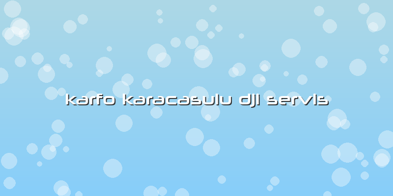 Karfo Karacasulu Dji Servis
