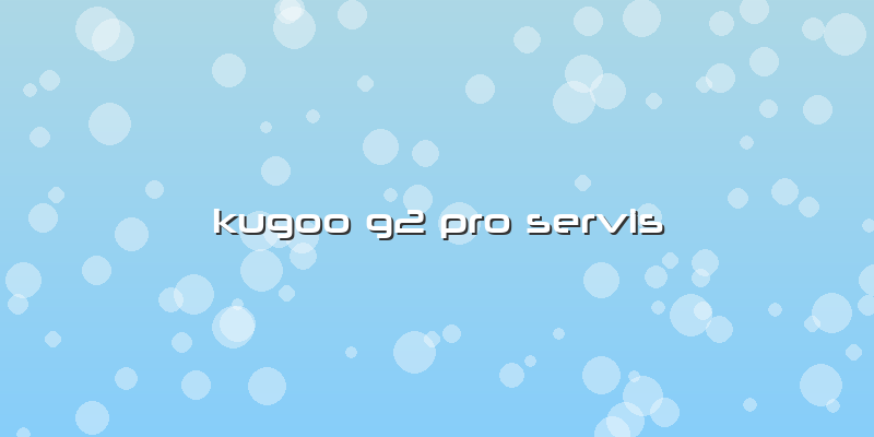 Kugoo G2 Pro Servis