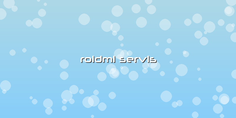 Roidmi Servis