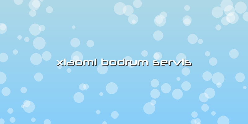 Xiaomi Bodrum Servis
