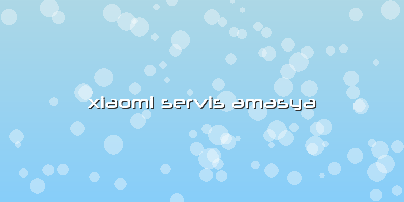 Xiaomi Servis Amasya